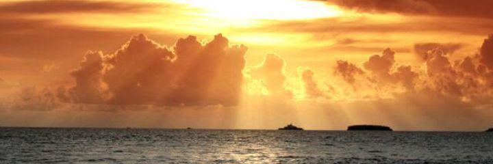 thapetah's profile banner image