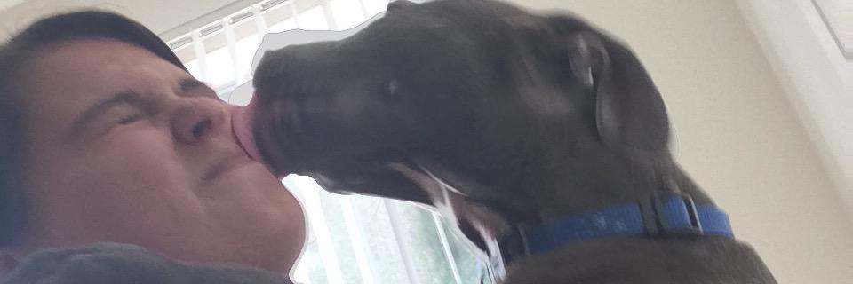 aleigh8030's profile banner image