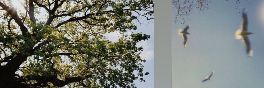 maeesmaees93's profile banner image