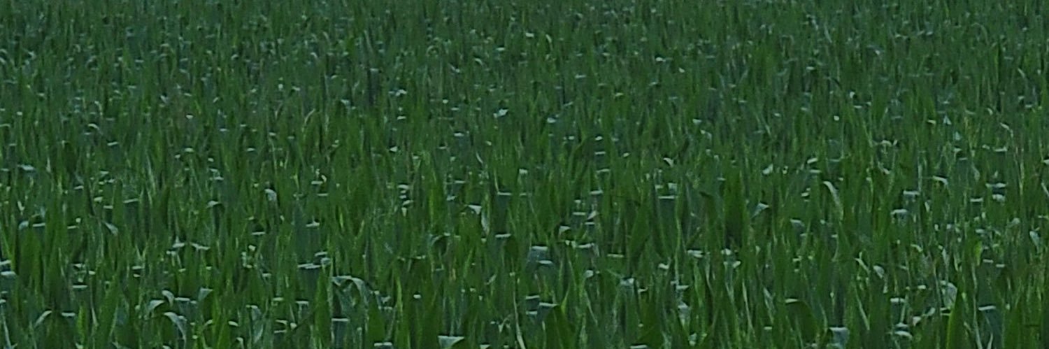 dea147_'s profile banner image