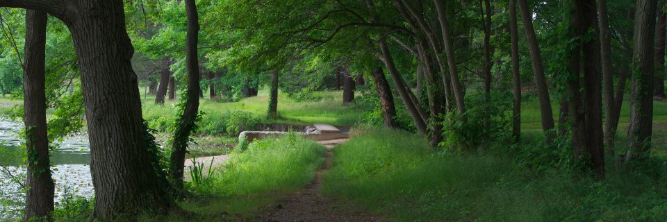 Robert-Theodore Aronson banner