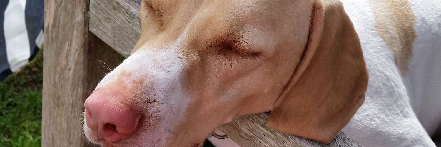 deerigby's profile banner image