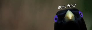 bails_of_fun's profile banner image
