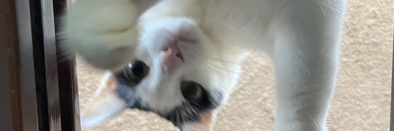 nog_isaa's profile banner image
