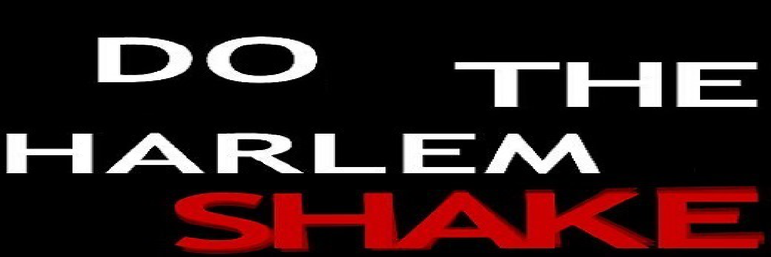 Bina banner