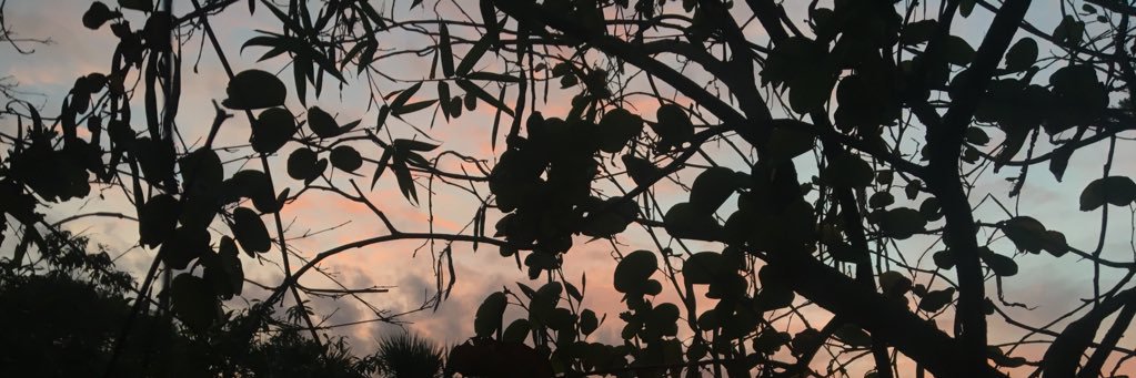 unoriginal_mess's profile banner image