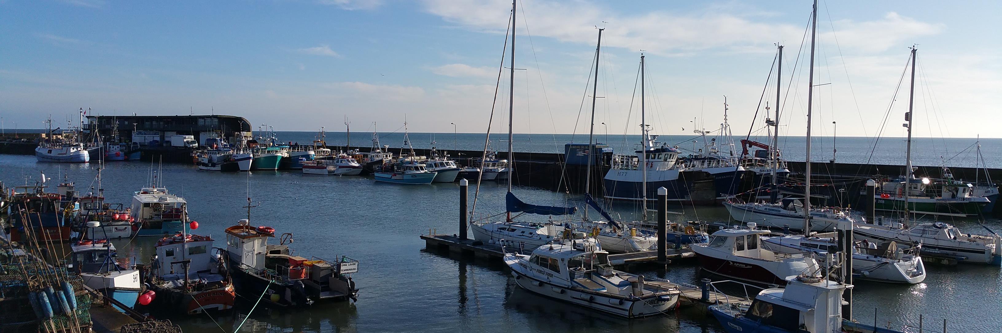 BridSeafoodFest's profile banner image