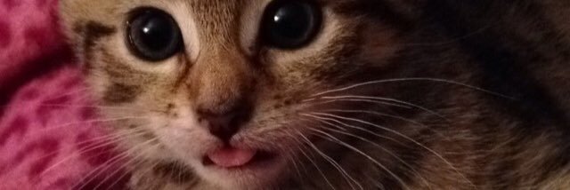 amyewen's profile banner image
