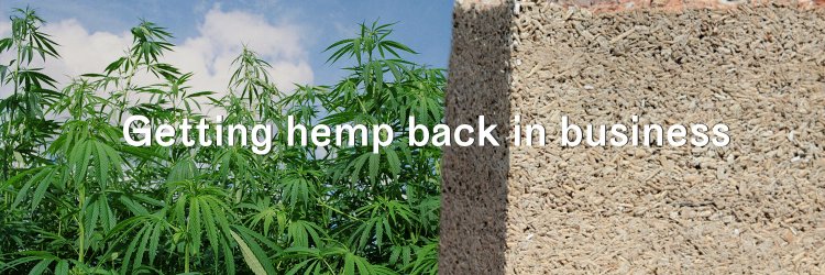 Hemp_Collective's profile banner image