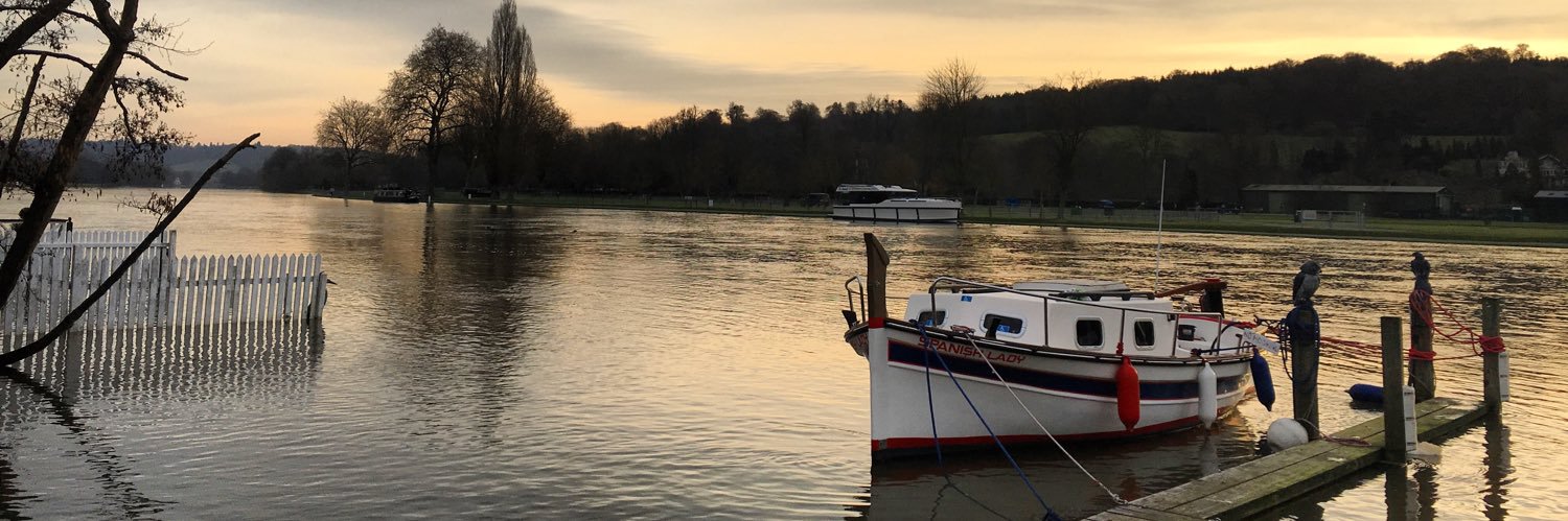 Clare ‘nemo’ Collingridge banner