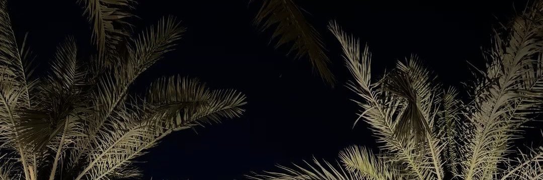 MerAlh_'s profile banner image