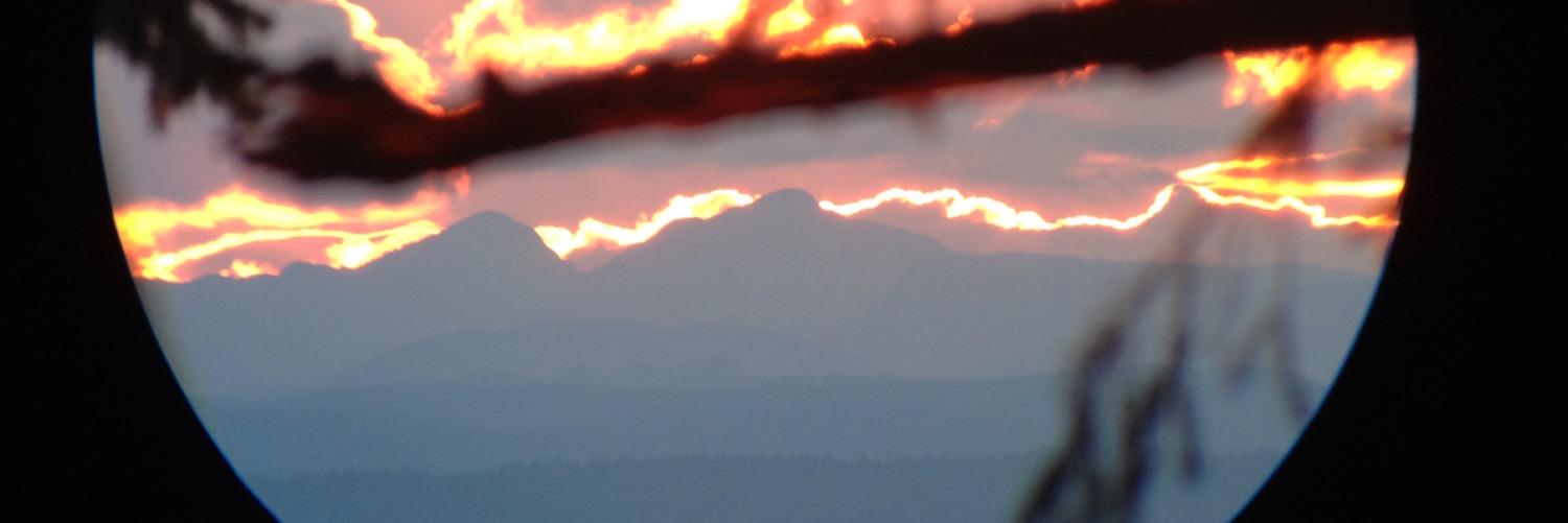 darreldoomvomit's profile banner image