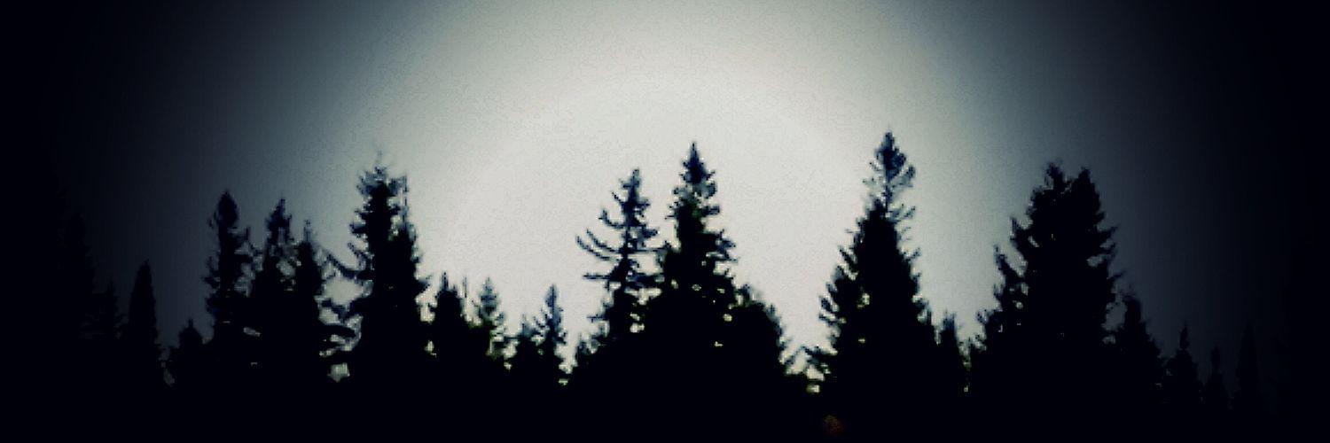 TheDirtySquatch's profile banner image