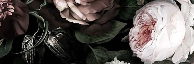 elizabeth_dc's profile banner image