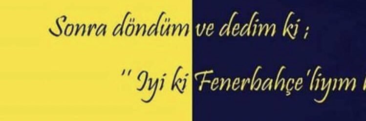 VesileFB💛💙1907 banner