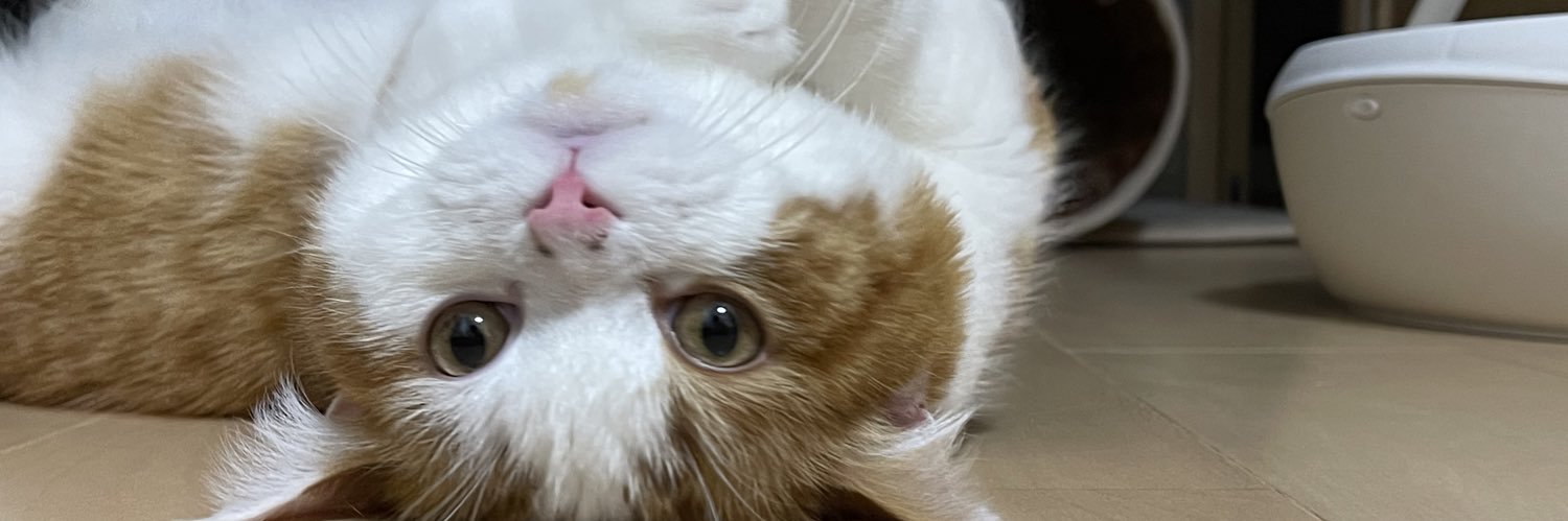 riraito710's profile banner image