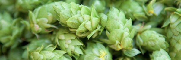 ComradeBrewing Profile Banner