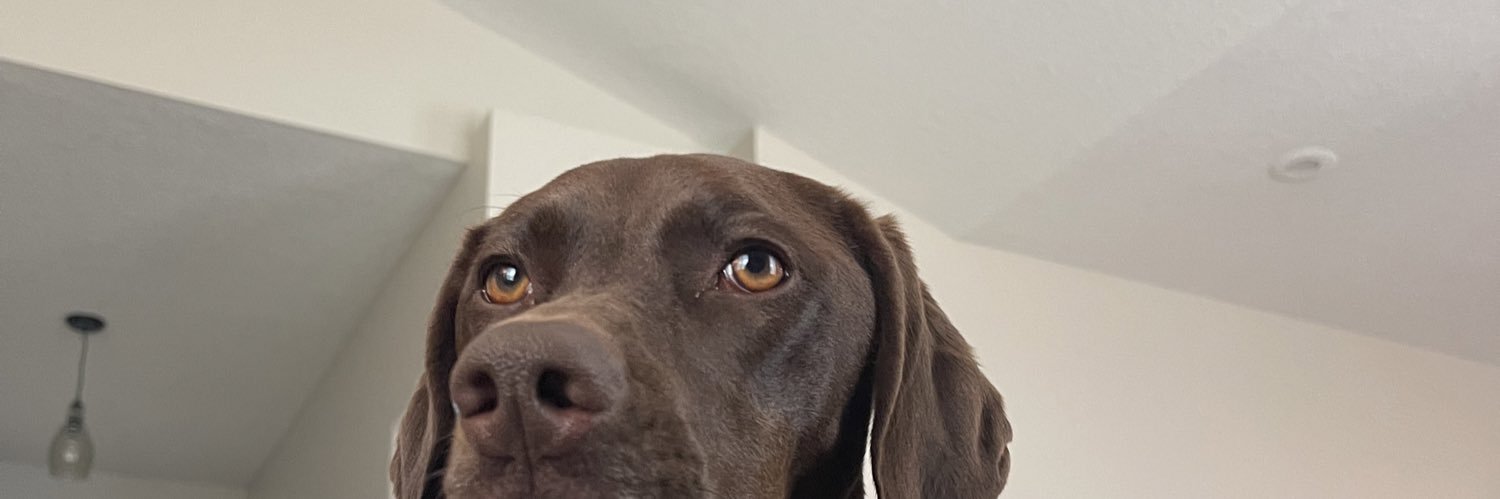 SydneeWrage's profile banner image