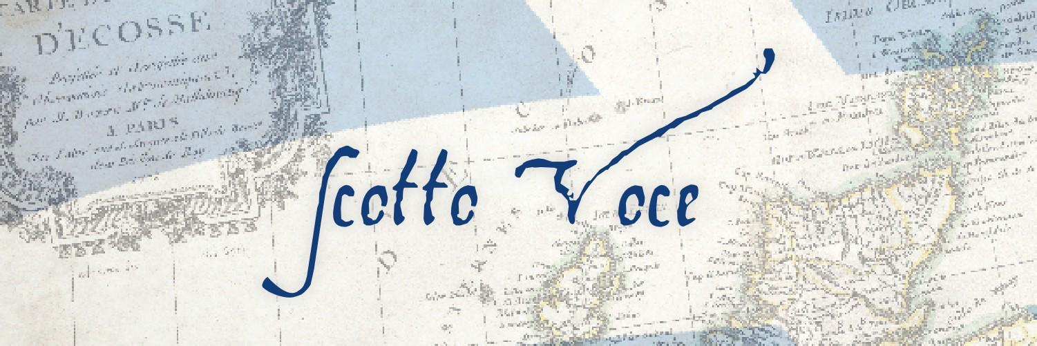 ScottoVoceBlog's profile banner image