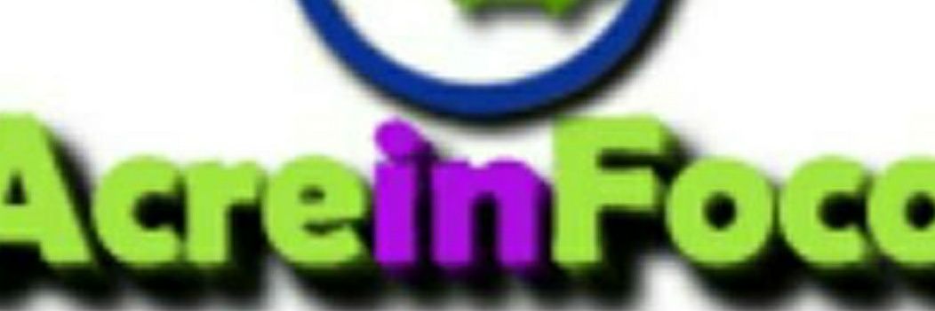 LunaphoenixP's profile banner image