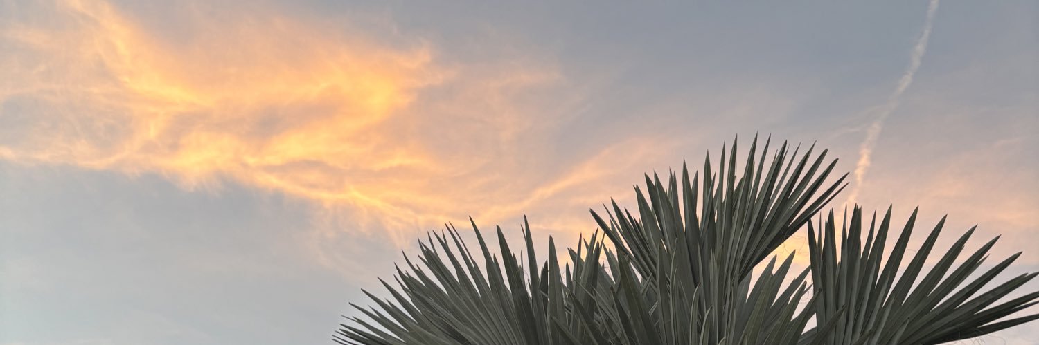 _Alexandria_P's profile banner image