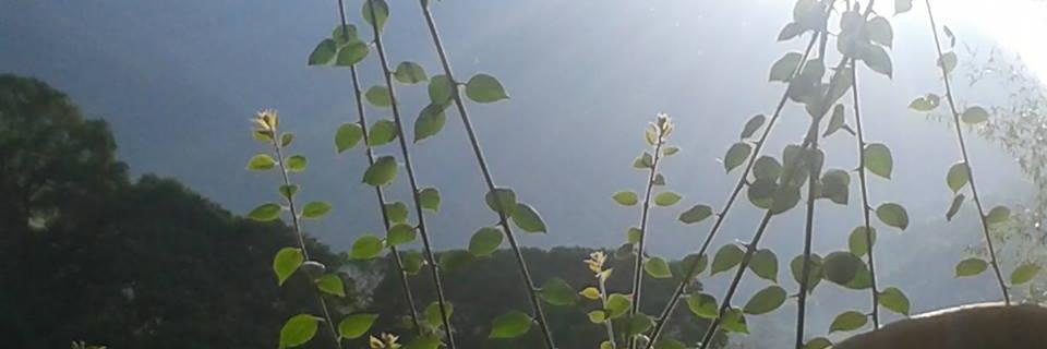 Laura_FL's profile banner image