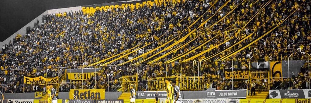 raulcano78's profile banner image