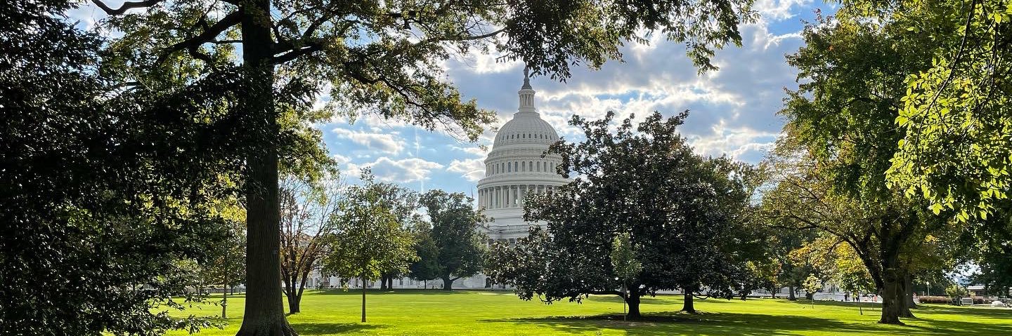 Patrick Maguire banner