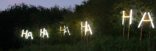 LubaAranha's profile banner image