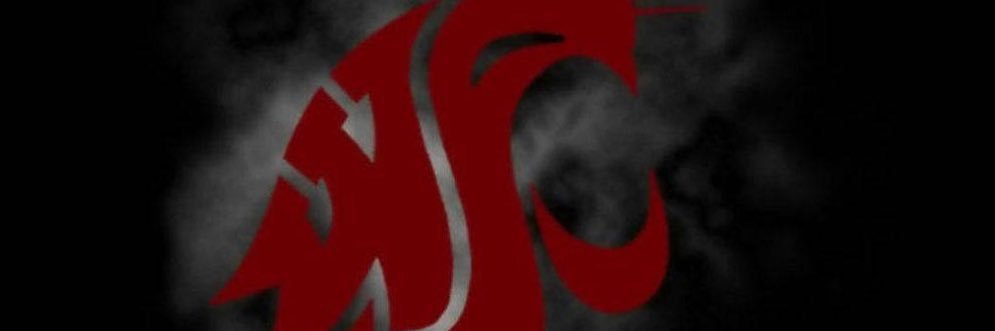Ninjake24's profile banner image