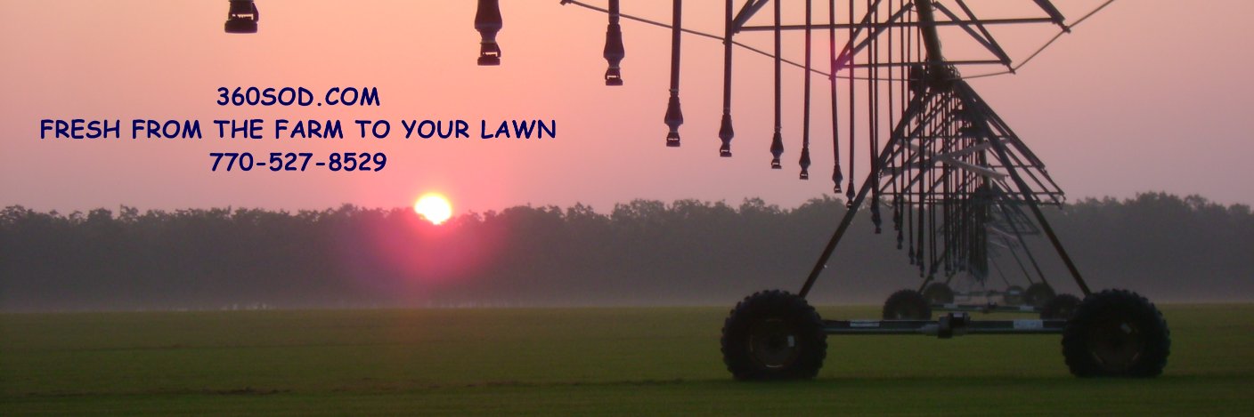 Planter7b's profile banner image