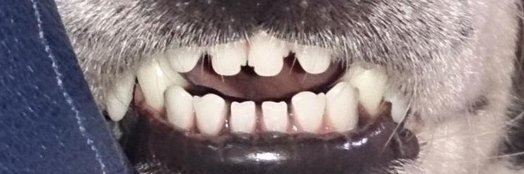 lswittmann's profile banner image