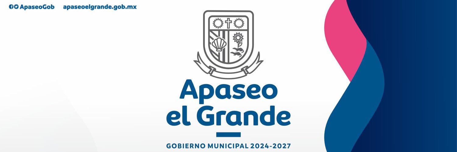 Apaseo el Grande banner