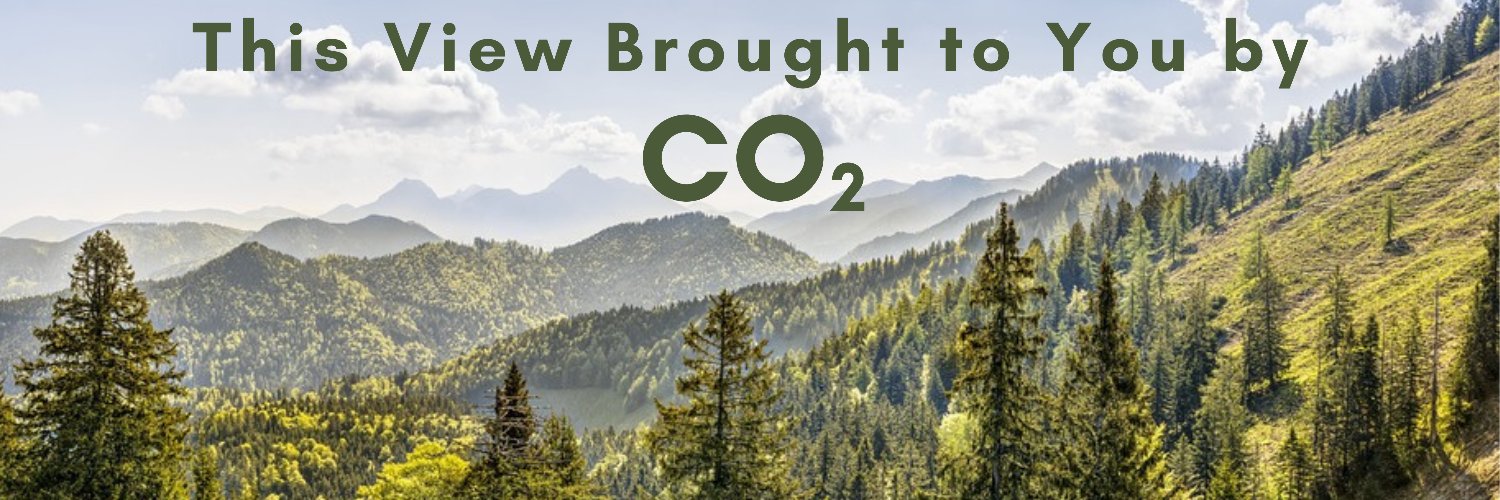 CO2 Coalition's banner