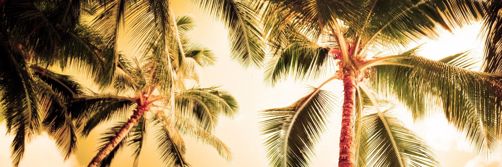 luvbrite's profile banner image