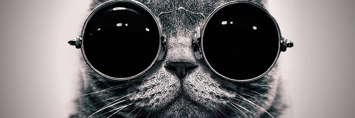 andserrano89's profile banner image