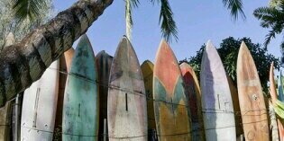 jomatoyos's profile banner image