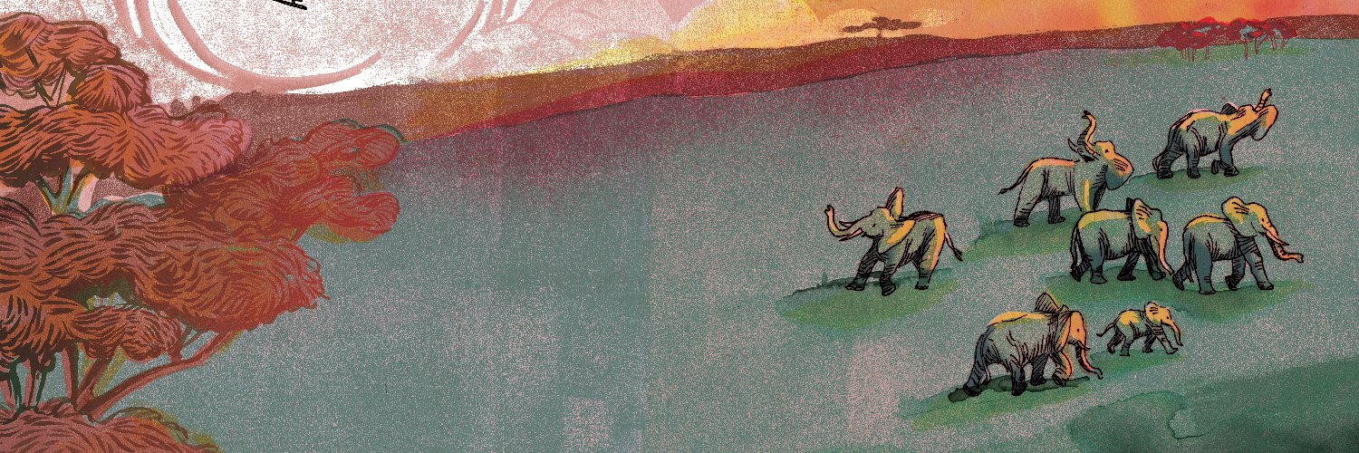 hadleyhooper's profile banner image