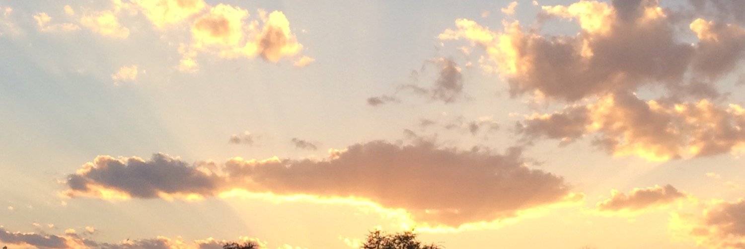 KatelynnMiller3's profile banner image