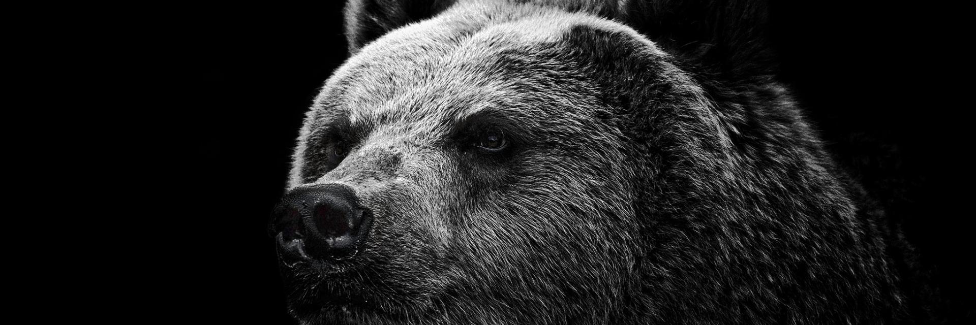Osborn_Store's profile banner image