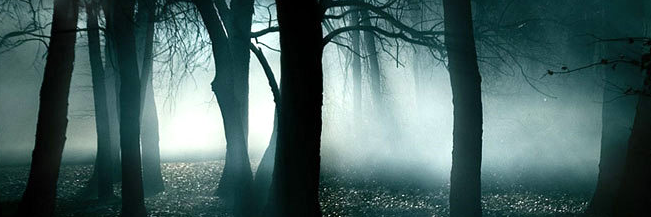 ParanormalGo's profile banner image