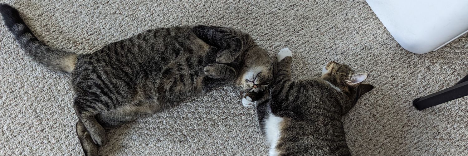 gschnapps's profile banner image