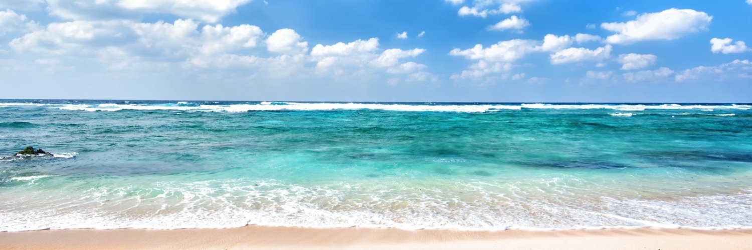 NutsSwimming's profile banner image