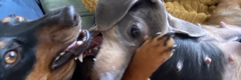 stephanschraven's profile banner image
