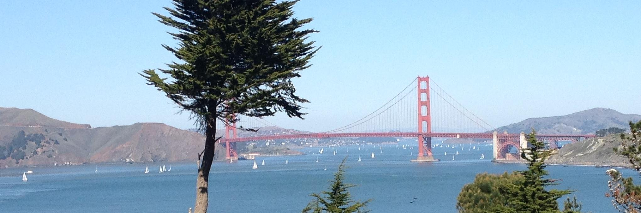 Christian Olsson banner