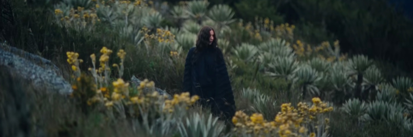 electric dick (feat. ana frango elétrico) banner