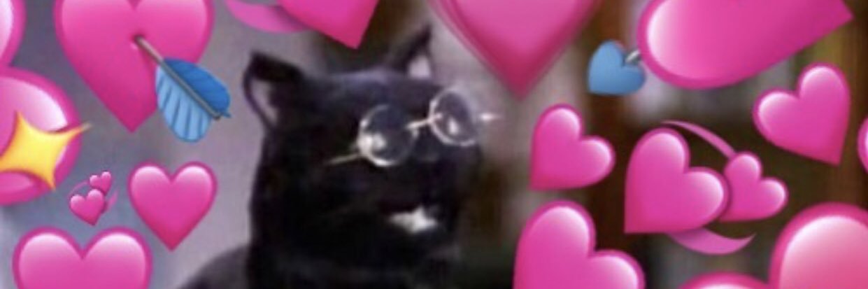 dinosaurcat's profile banner image
