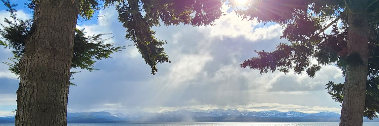 WilneidyG's profile banner image