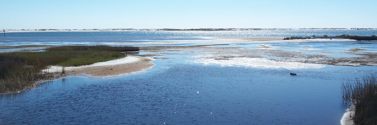 BeachBunnyKelly's profile banner image
