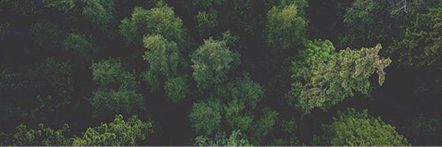 lvcidloser's profile banner image